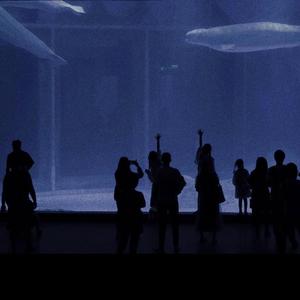 赵丽唐静少年宫小演员
