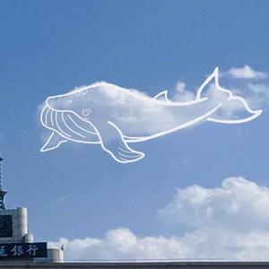 赵丽唐静少年宫小演员
